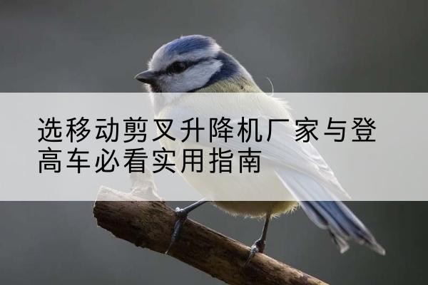 秀英电动升降机厂家-选移动剪叉升降机厂家与登高车必看实用指南