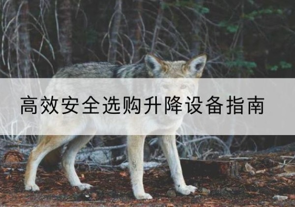秀英升降货梯厂家推荐-*安全选购升降设备指南
