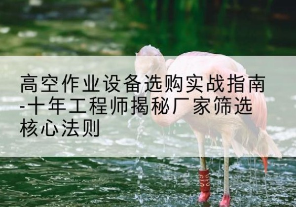 秀英剪叉式升降机厂家-高空作业设备选购实战指南-十年工程师揭秘厂家筛选核心法则